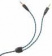 Наушники с микрофоном Оклик HS-L310G Guardian черный/золотистый 1.5м мониторные оголовье (359483) от магазина РЭССИ