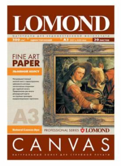 Холст Lomond 0908312 A3/300г/м2/20л./белый матовое для струйной печати от магазина РЭССИ