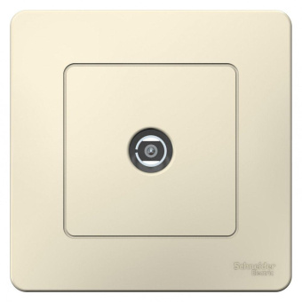 Розетка телев. Schneider Electric Blanca BLNTS000012 скрыт. IP20 молочный от магазина РЭССИ