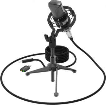 Микрофон проводной Ritmix RDM-160 2.5м черный от магазина РЭССИ