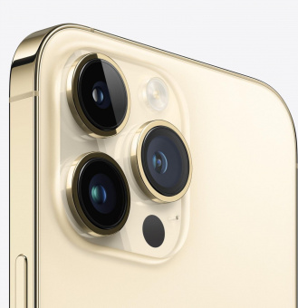 Смартфон Apple A2893 iPhone 14 Pro Max 256Gb 6Gb золотой моноблок 3G 4G 1Sim 6.7" 1290x2796 iOS 16 48Mpix 802.11 a/b/g/n/ac/ax NFC GPS GSM900/1800 GSM1900 TouchSc Protect от магазина РЭССИ