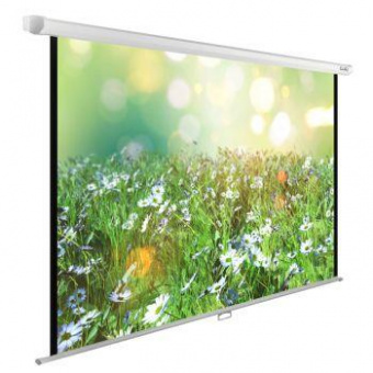 Экран Cactus 200x200см WallExpert CS-PSWE-200x200-WT 1:1 настенно-потолочный рулонный от магазина РЭССИ