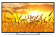 Картинка Телевизор LED PolarLine 40" 40PL11TC-SM черный FULL HD 50Hz DVB-T DVB-T2 DVB-C USB WiFi Smart TV (RUS) от магазина РЭССИ Телевизор LED PolarLine 40" 40PL11TC-SM черный FULL HD 50Hz DVB-T DVB-T2 DVB-C USB WiFi Smart TV (RUS) от магазина РЭССИ