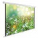 Экран Cactus 200x200см WallExpert CS-PSWE-200x200-WT 1:1 настенно-потолочный рулонный от магазина РЭССИ