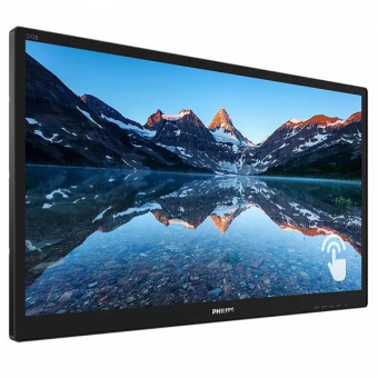 Монитор Philips 23.8" 242B9TN/00 черный IPS 16:9 DVI HDMI M/M матовая 250cd 178гр/178гр 1920x1080 60Hz VGA DP FHD USB Touch 4.86кг от магазина РЭССИ