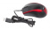 Картинка Мышь A4Tech V-Track Padless N-400 черный/красный оптическая (1000dpi) USB (3but) от магазина РЭССИ Мышь A4Tech V-Track Padless N-400 черный/красный оптическая (1000dpi) USB (3but) от магазина РЭССИ