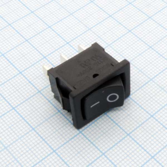 DS RWB-102 ON-ON от магазина РЭССИ