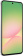 Смартфон Samsung SM-A566E Galaxy A56 5G 128Gb 8Gb серый моноблок 3G 4G 2Sim 6.7" 1080x2340 Android 15 50Mpix 802.11 a/b/g/n/ac/ax NFC GPS GSM900/1800 GSM1900 Protect от магазина РЭССИ