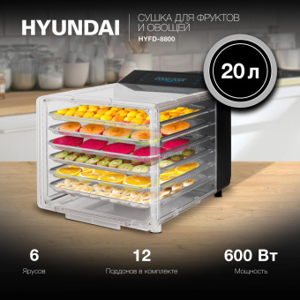 Сушка для фруктов и овощей Hyundai HYFD-8800 12под. 600Вт черный от магазина РЭССИ