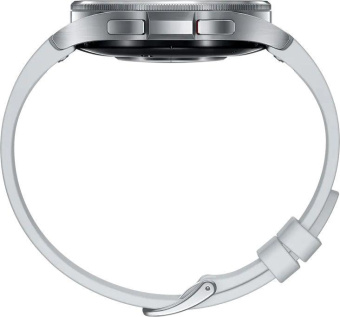 Смарт-часы Samsung Galaxy Watch6 Classic 47мм 1.5" AMOLED корп.серебристый рем.серебристый (SM-R960NZSACIS) от магазина РЭССИ