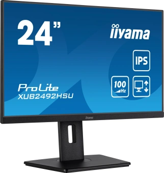 Монитор Iiyama 23.8" ProLite XUB2492HSU-B6 черный IPS LED 0.4ms 16:9 HDMI M/M матовая HAS Piv 250cd 178гр/178гр 1920x1080 100Hz DP FHD USB 4.9кг от магазина РЭССИ