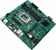 Картинка Материнская плата Asus PRO B660M-C-CSM Soc-1700 Intel B660 4xDDR5 mATX AC`97 8ch(7.1) GbLAN RAID+VGA+HDMI+DP от магазина РЭССИ Материнская плата Asus PRO B660M-C-CSM Soc-1700 Intel B660 4xDDR5 mATX AC`97 8ch(7.1) GbLAN RAID+VGA+HDMI+DP от магазина РЭССИ