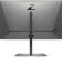 Картинка Монитор HP 24" Z24n G3 черный IPS LED 16:10 HDMI матовая 350cd 1920x1200 DP WU USB 4.9кг от магазина РЭССИ Монитор HP 24" Z24n G3 черный IPS LED 16:10 HDMI матовая 350cd 1920x1200 DP WU USB 4.9кг от магазина РЭССИ