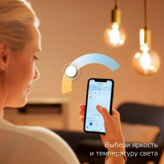 Умная лампа Gauss IoT Smart Home E14 4.5Вт 495lm Wi-Fi (упак.:1шт) (1280112) от магазина РЭССИ