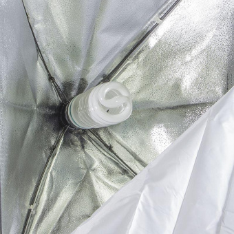 Комплект освещения Rekam CL-310-FL2-SB-FL1S от магазина РЭССИ