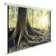 Картинка Экран Cactus 220x220см WallExpert CS-PSWE-220x220-WT 1:1 настенно-потолочный рулонный от магазина РЭССИ Экран Cactus 220x220см WallExpert CS-PSWE-220x220-WT 1:1 настенно-потолочный рулонный от магазина РЭССИ