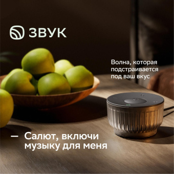 Умная колонка Sber Boom Mini 2 SBDV-00250G Салют серый 5W Mono BT/Wi-Fi от магазина РЭССИ