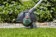 Картинка Триммер электрический Gardena ComfortCut 550/28 550Вт неразбор.штан. реж.эл.:леска от магазина РЭССИ Триммер электрический Gardena ComfortCut 550/28 550Вт неразбор.штан. реж.эл.:леска от магазина РЭССИ