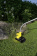 Картинка Триммер электрический Karcher LTR 36-33 Battery аккум. разбор.штан. реж.эл.:леска от магазина РЭССИ Триммер электрический Karcher LTR 36-33 Battery аккум. разбор.штан. реж.эл.:леска от магазина РЭССИ