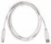 Кабель Buro USB2.0-AM/BM USB A(m) USB B(m) 1.8м серый от магазина РЭССИ