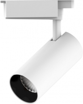 Система трековая Gauss TR070 24Вт 4000K цв.св.:белый нейтральный белый от магазина РЭССИ