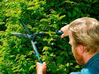 Ножницы для живой изгороди Gardena EasyCut черный/синий (12301-20.000.00) от магазина РЭССИ