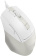 Картинка Мышь A4Tech Fstyler FM45S Air бежевый оптическая (2400dpi) silent USB (7but) от магазина РЭССИ Мышь A4Tech Fstyler FM45S Air бежевый оптическая (2400dpi) silent USB (7but) от магазина РЭССИ