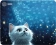 Картинка Коврик для мыши Cactus White Cat 300x250x3мм (CS-MP-D11M) от магазина РЭССИ Коврик для мыши Cactus White Cat 300x250x3мм (CS-MP-D11M) от магазина РЭССИ