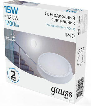 Светильник Gauss ЖКХ 193411315 15Вт 6500K белый опал от магазина РЭССИ