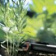 Дождеватель Gardena 08310-29.000.00 (в комп.:10 предметов) от магазина РЭССИ