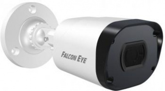 Камера видеонаблюдения аналоговая Falcon Eye FE-MHD-B5-25 2.8-2.8мм цветная корп.:белый от магазина РЭССИ