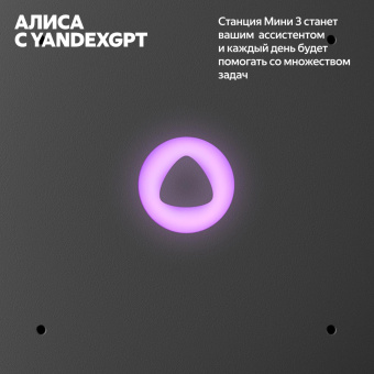Умная колонка Yandex Станция Мини 3 Алиса черный 12W 1.0 BT/Wi-Fi (YNDX-00027BLK) от магазина РЭССИ