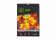 Картинка Фотобумага Cactus Prof CS-HGA326020 A3/260г/м2/20л./белый глянцевое для струйной печати от магазина РЭССИ Фотобумага Cactus Prof CS-HGA326020 A3/260г/м2/20л./белый глянцевое для струйной печати от магазина РЭССИ