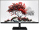 Картинка Монитор RDW Computers 27" RDW2701K черный IPS 5ms 16:9 HDMI 1000:1 300cd 178гр/178гр 1920x1080 100Hz VGA DP FHD (RUS) от магазина РЭССИ Монитор RDW Computers 27" RDW2701K черный IPS 5ms 16:9 HDMI 1000:1 300cd 178гр/178гр 1920x1080 100Hz VGA DP FHD (RUS) от магазина РЭССИ