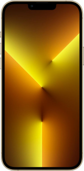 Смартфон Apple A2484 iPhone 13 Pro Max 128Gb 6Gb золотой моноблок 3G 4G 1Sim 6.7" 1284x2778 iOS 15 12Mpix 802.11 a/b/g/n/ac/ax NFC GPS GSM900/1800 GSM1900 TouchSc Protect от магазина РЭССИ