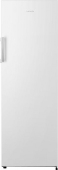 Морозильная камера Hisense FV245N4AW1 белый от магазина РЭССИ