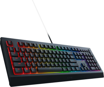 Клавиатура Razer Cynosa V2 черный USB Multimedia for gamer LED от магазина РЭССИ