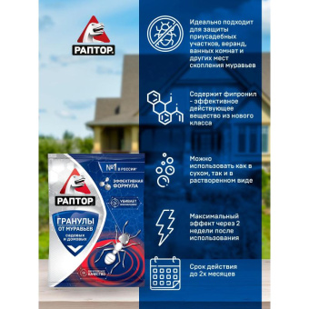 Средство от муравьев РАПТОР в гранулах саше 100 г 20062 Pa0001M от магазина РЭССИ