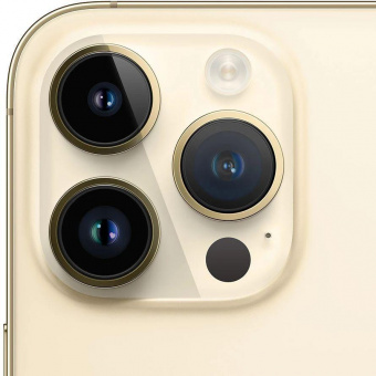 Смартфон Apple A2889 iPhone 14 Pro 1Tb 6Gb золотой моноблок 3G 4G 1Sim 6.1" 1179x2556 iOS 16 48Mpix 802.11 a/b/g/n/ac/ax NFC GPS GSM900/1800 GSM1900 TouchSc Protect от магазина РЭССИ