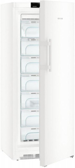 Морозильная камера Liebherr GN 4635 белый от магазина РЭССИ