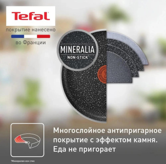 Сковорода блинная Tefal Rock 04235525 круглая 25см покрытие: Mineralia ручка несъемная (без крышки) черный от магазина РЭССИ