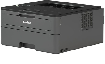 Принтер лазерный Brother HL-L2371DN (HLL2371DNR1) A4 Duplex Net черный от магазина РЭССИ