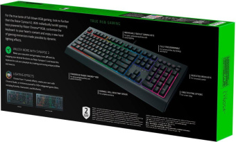 Клавиатура Razer Cynosa V2 черный USB Multimedia for gamer LED от магазина РЭССИ