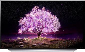 Телевизор OLED LG 55" OLED55C1RLA.ADGG темно-серый 4K Ultra HD 120Hz DVB-T DVB-T2 DVB-C DVB-S DVB-S2 WiFi Smart TV (RUS) от магазина РЭССИ