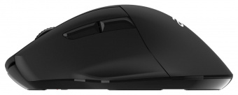 Мышь Acer OMR170 черный оптическая (1600dpi) беспроводная BT/Radio USB (5but) от магазина РЭССИ