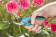Картинка Секатор плоскостной Gardena B/S-M черный/синий (08853-30.000.00) от магазина РЭССИ Секатор плоскостной Gardena B/S-M черный/синий (08853-30.000.00) от магазина РЭССИ