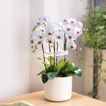 Светильник фито Cactus GARDEN светод. 7.5Вт цв.св.:белый (CS-LED-ORCHID) от магазина РЭССИ