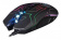 Мышь A4Tech X77 черный оптическая (2400dpi) USB (8but) от магазина РЭССИ