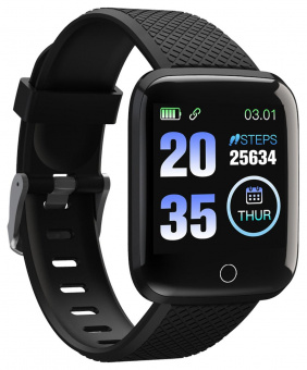 Смарт-часы Digma Smartline H2 1.3" TFT корп.черный рем.черный (H2B) от магазина РЭССИ