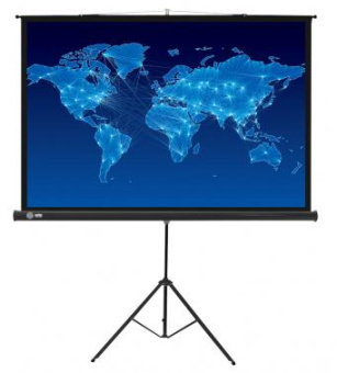 Экран Cactus 150x150см Triscreen CS-PST-150x150 1:1 напольный рулонный черный от магазина РЭССИ